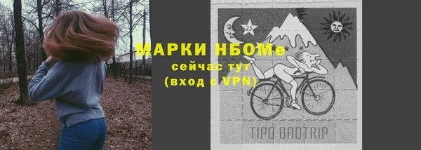 сатива Арсеньев