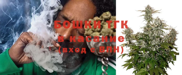 сатива Арсеньев
